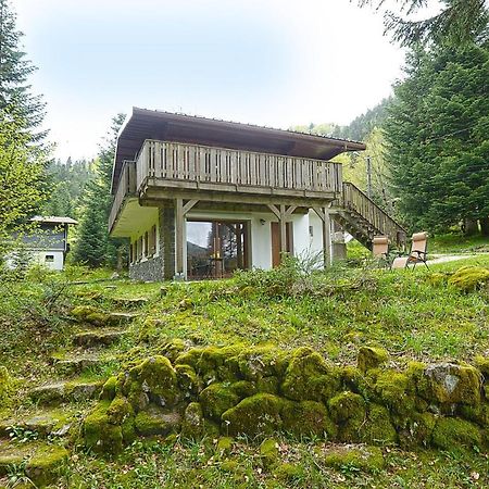 Le Schwarzwald - A Proximite Des Stations De Ski La Bresse Luaran gambar