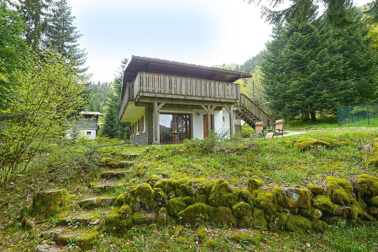 Le Schwarzwald - A Proximite Des Stations De Ski La Bresse Luaran gambar